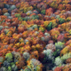 Matt Cardy/Getty Images